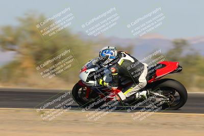 media/Nov-12-2023-SoCal Trackdays (Sun) [[5d1fba4e7d]]/Turn 3 Inside Speed Pans (135pm)/